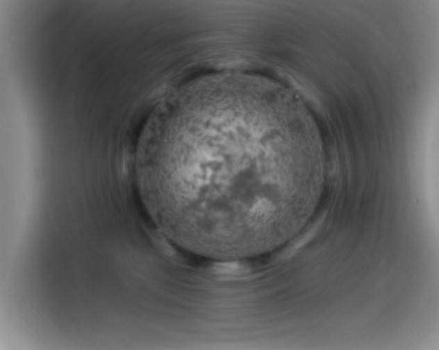 X0000114080281200910131242