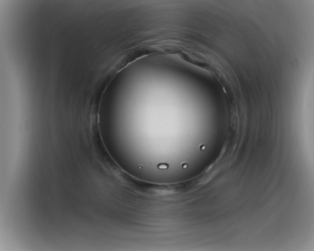 X0000114080284200910131242