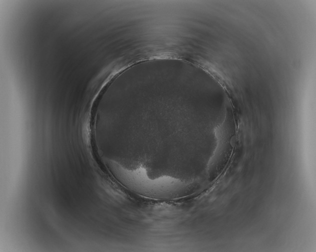 X0000114080290200910131242