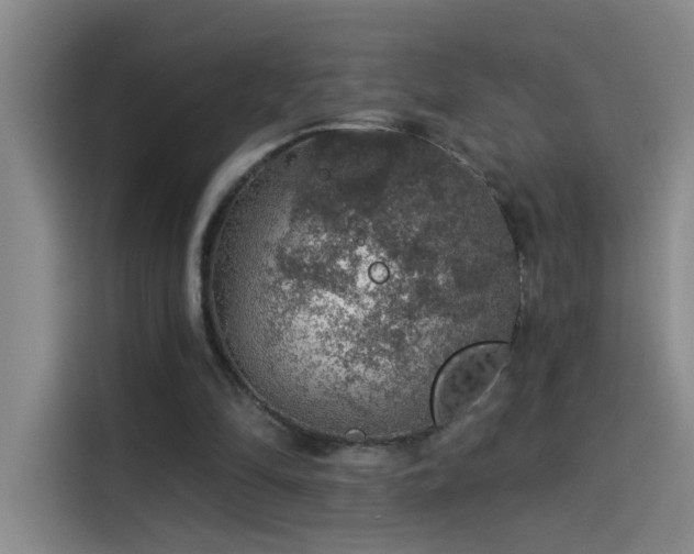 X0000114080294200910131242