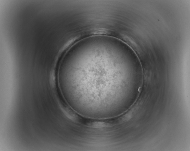 X0000114080298200910131242