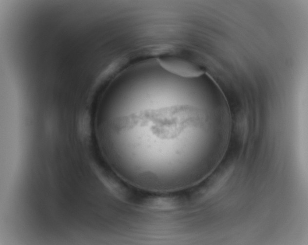 X0000114080303200910131242