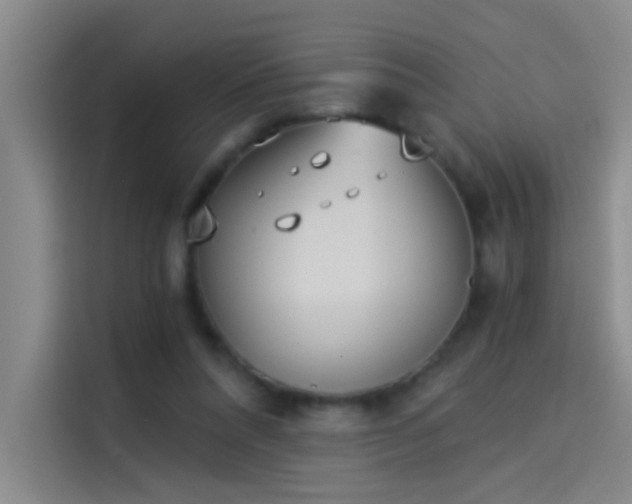 X0000114080304200910131242