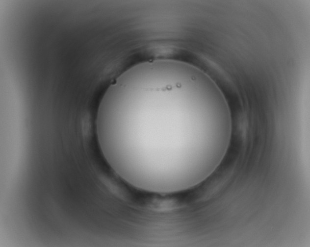 X0000114080311200910131242