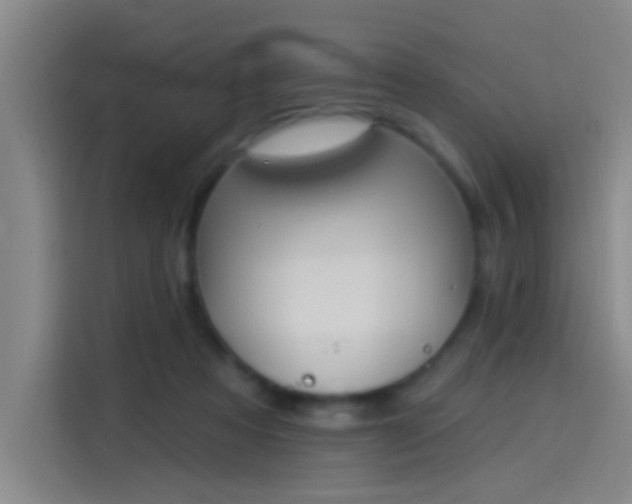 X0000114080313200910131242