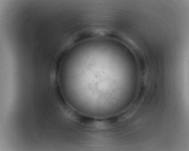 X0000114080314200910131242