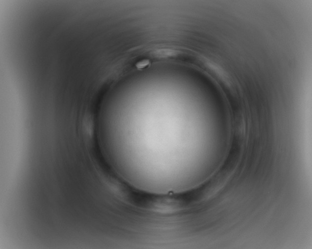 X0000114080315200910131241