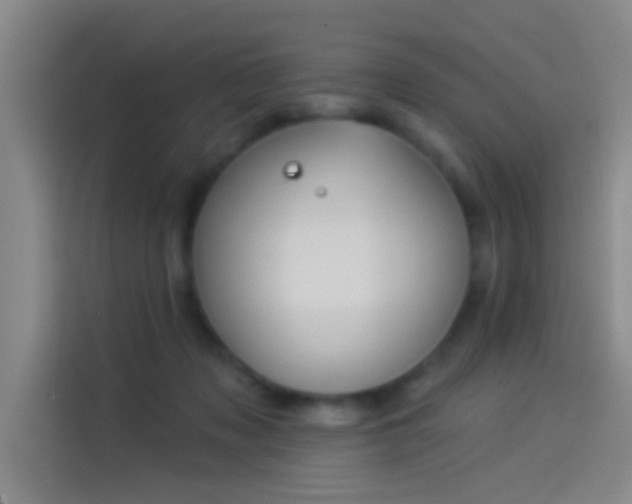 X0000114080317200910131241