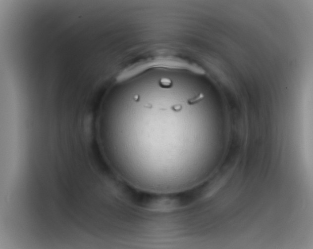 X0000114080319200910131241