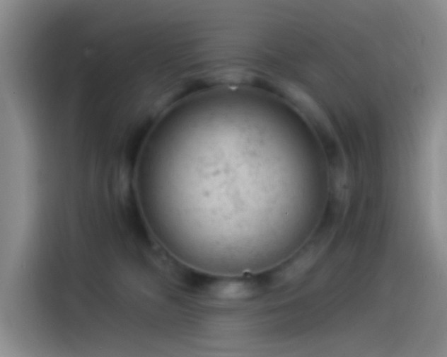 X0000114080326200910131241