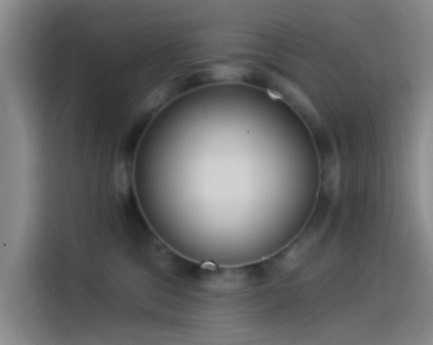 X0000114080329200910131241