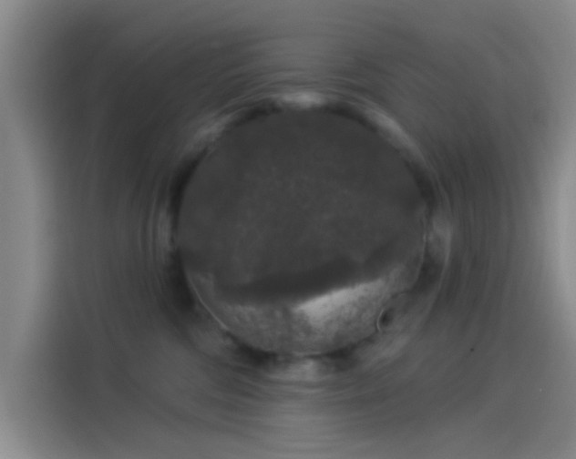 X0000114080330200910131241