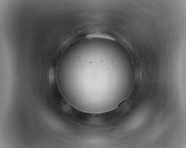 X0000114080335200910131241