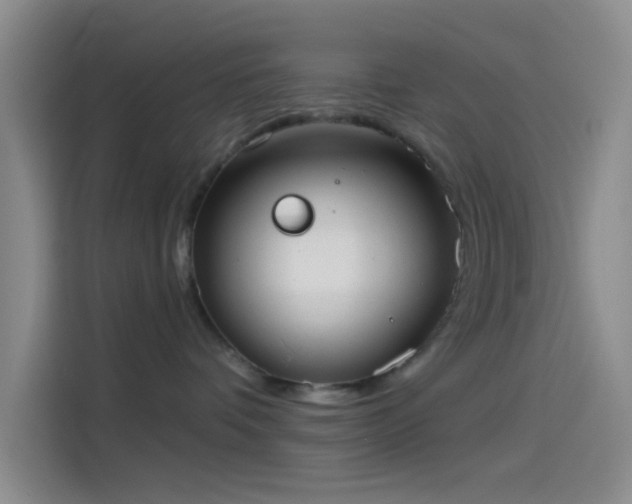 X0000114080336200910131241