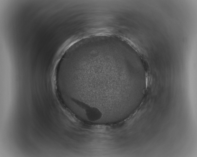 X0000114080339200910131241