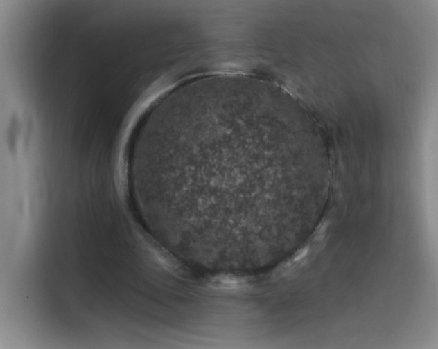 X0000114080343200910131241