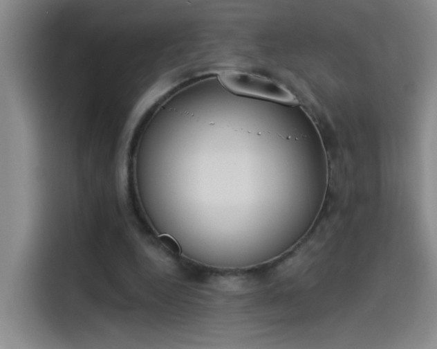 X0000114080344200910131241