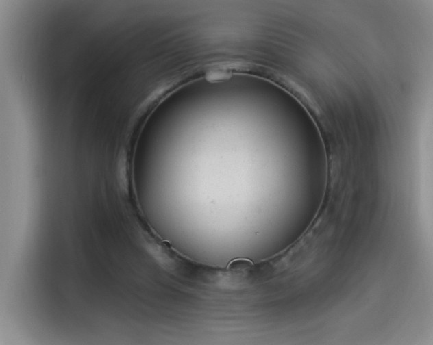 X0000114080345200910131241