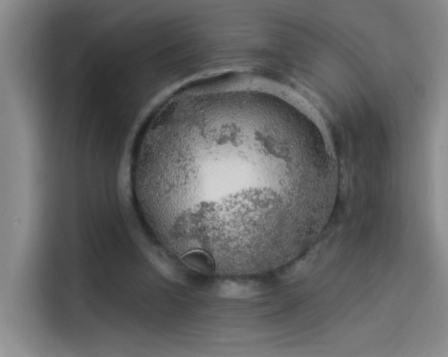 X0000114080346200910131241