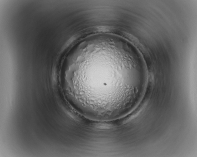 X0000114080347200910131241