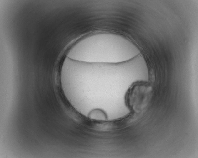 X0000114080351200910131241