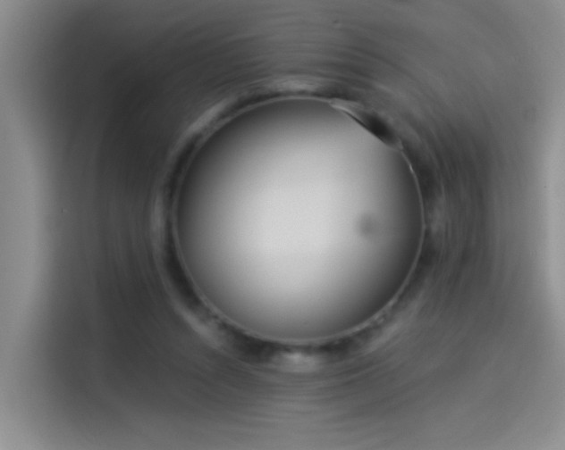 X0000114080352200910131241