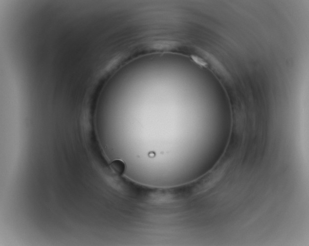 X0000114080354200910131241