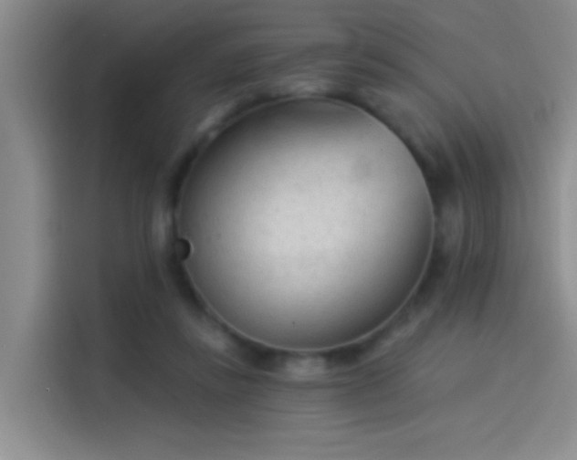 X0000114080355200910131241