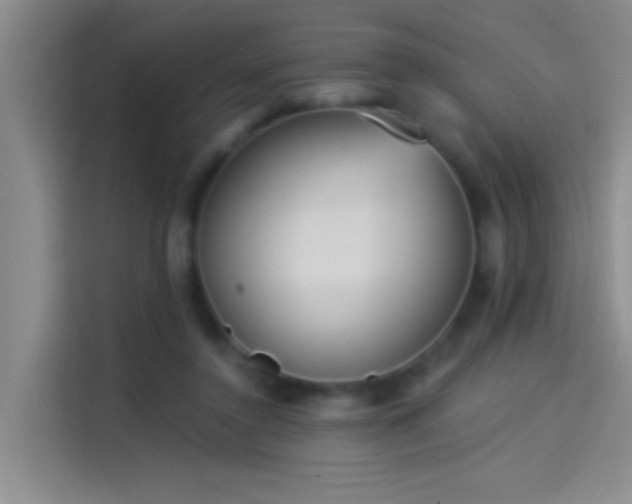 X0000114080356200910131241