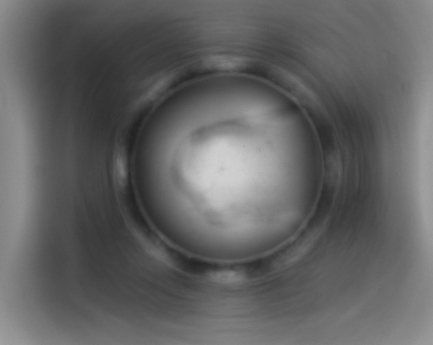 X0000114080358200910131241