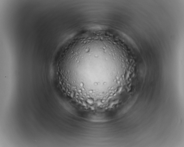 X0000114080359200910131241