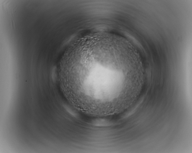 X0000114080361200910131241