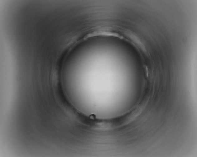 X0000114080362200910131241