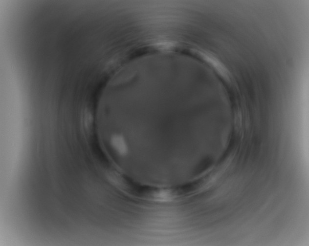 X0000114080365200910131241