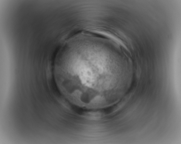 X0000114080366200910131241