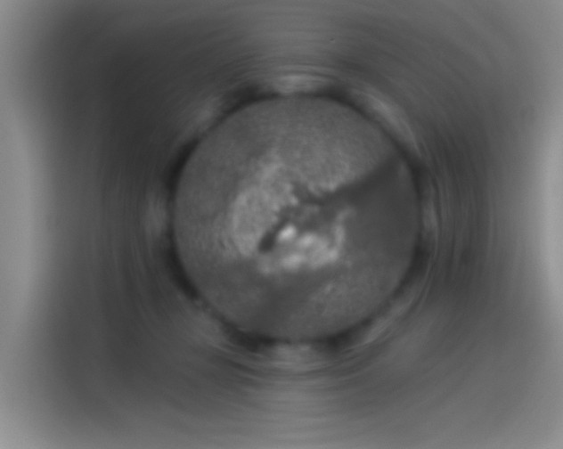 X0000114080367200910131241