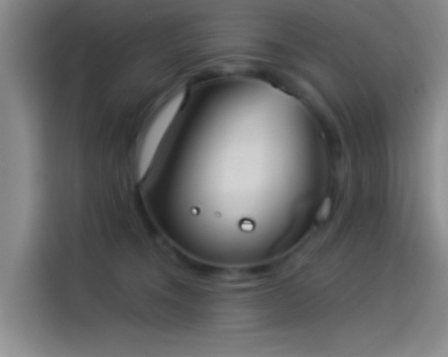 X0000114080372200910131241