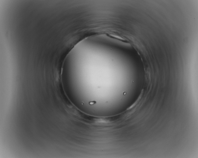 X0000114080380200910131241