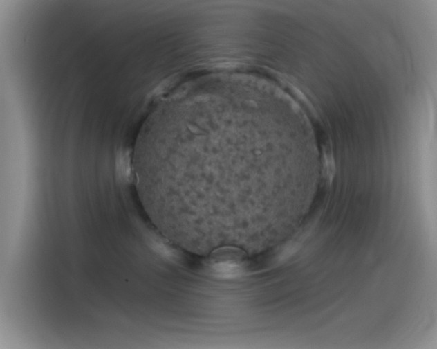 X0000114080383200910131241