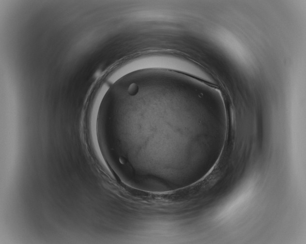 X0000114080387200910131241