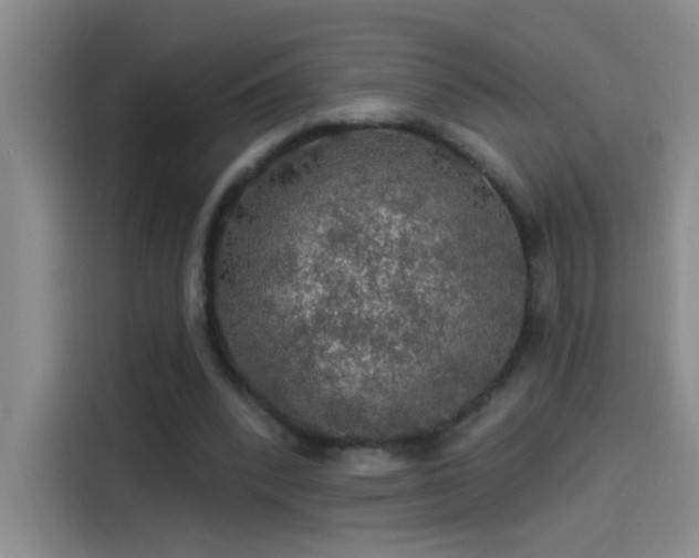 X0000114080392200910131240