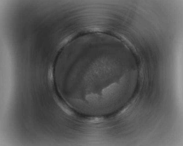 X0000114080398200910131240