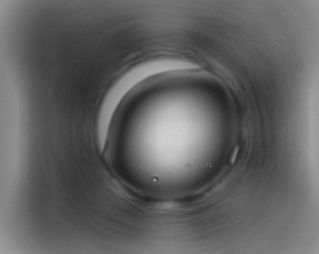 X0000114080409200910131240