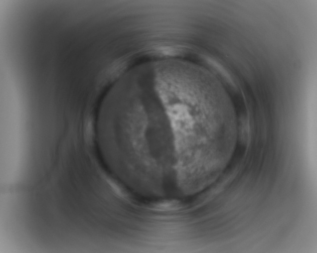 X0000114080410200910131240