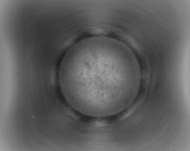 X0000114080416200910131240