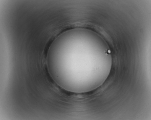 X0000114080419200910131240