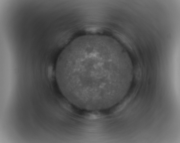 X0000114080420200910131240