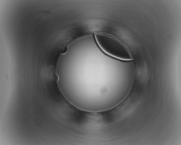 X0000114080421200910131240