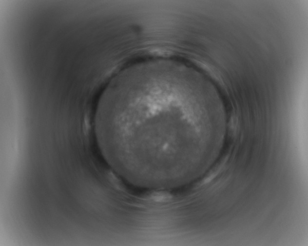 X0000114080424200910131240