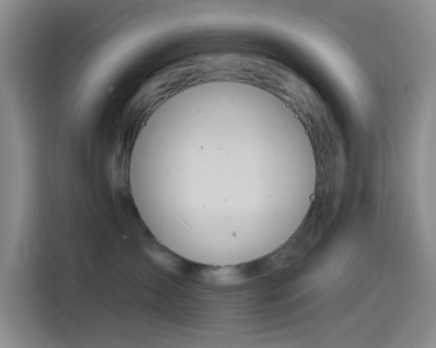 X0000114080431200910131240